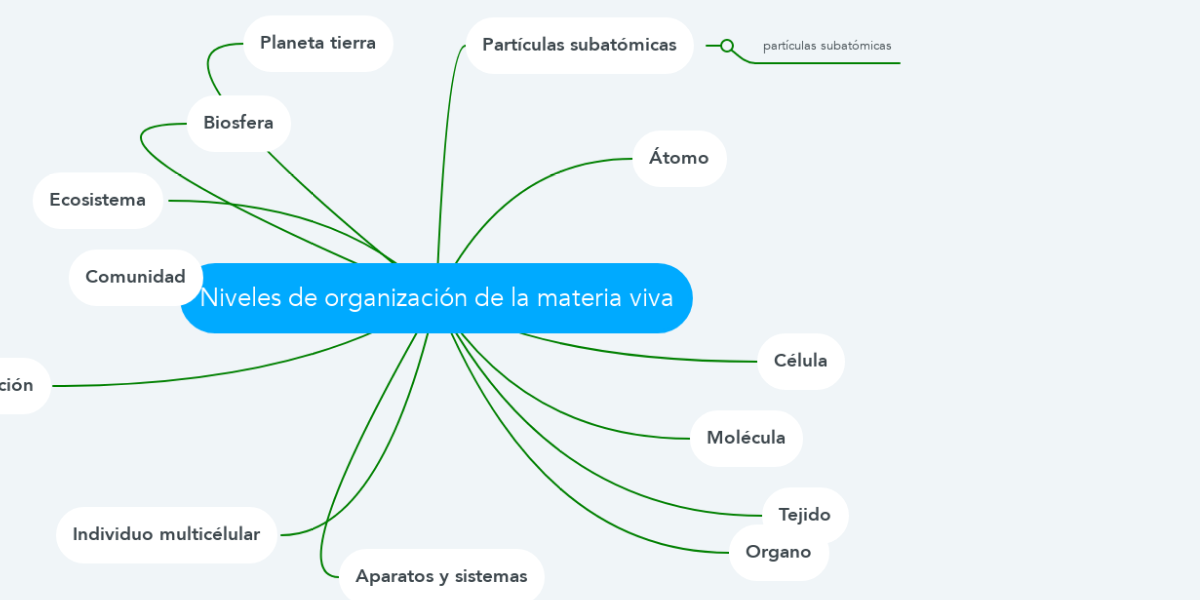 Niveles de organización de la materia viva MindMeister