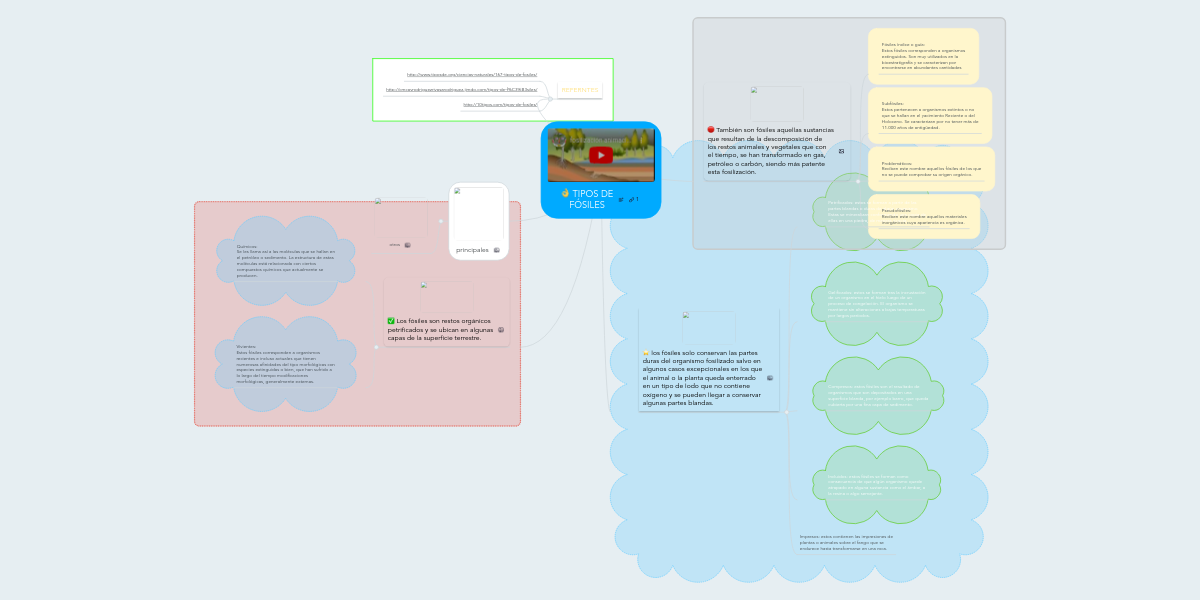 TIPOS DE FÓSILES MindMeister Mapa Mental
