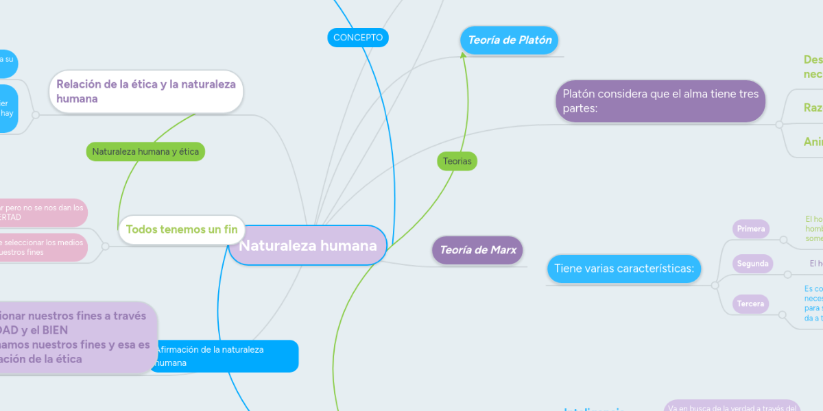 Mapa Conceptual De La Naturaleza Humana 2022 Porn Sex Picture 3653