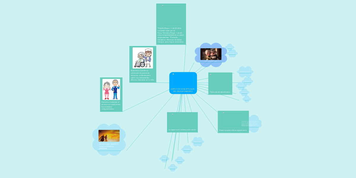 ASPECTOS CONCEPTUALES DEL ENVEJECIMIENTO MindMeister