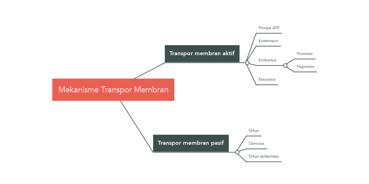 Mekanisme Transpor Membran | MindMeister Mind Map