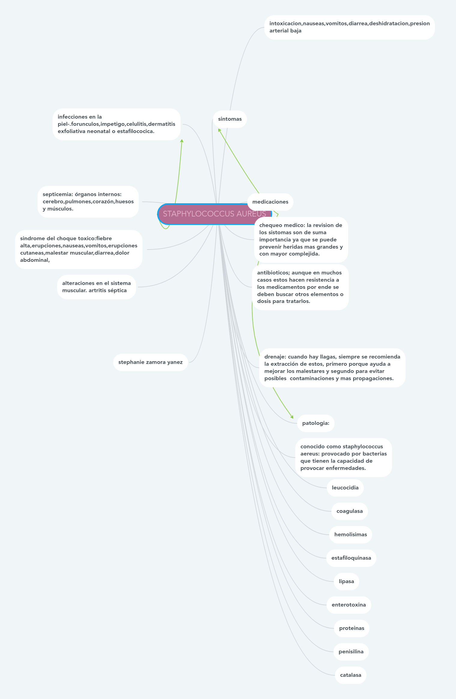 STAPHYLOCOCCUS AUREUS | MindMeister Mapa Mental