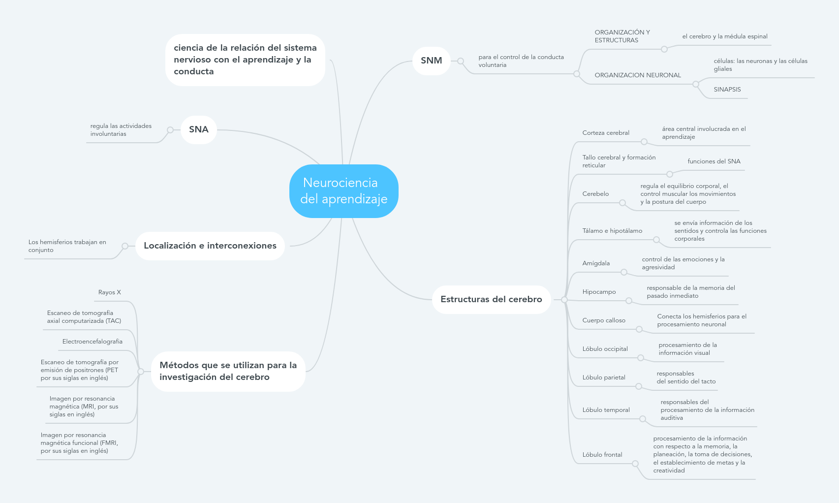 Neurociencia Del Aprendizaje | MindMeister Mapa Mental