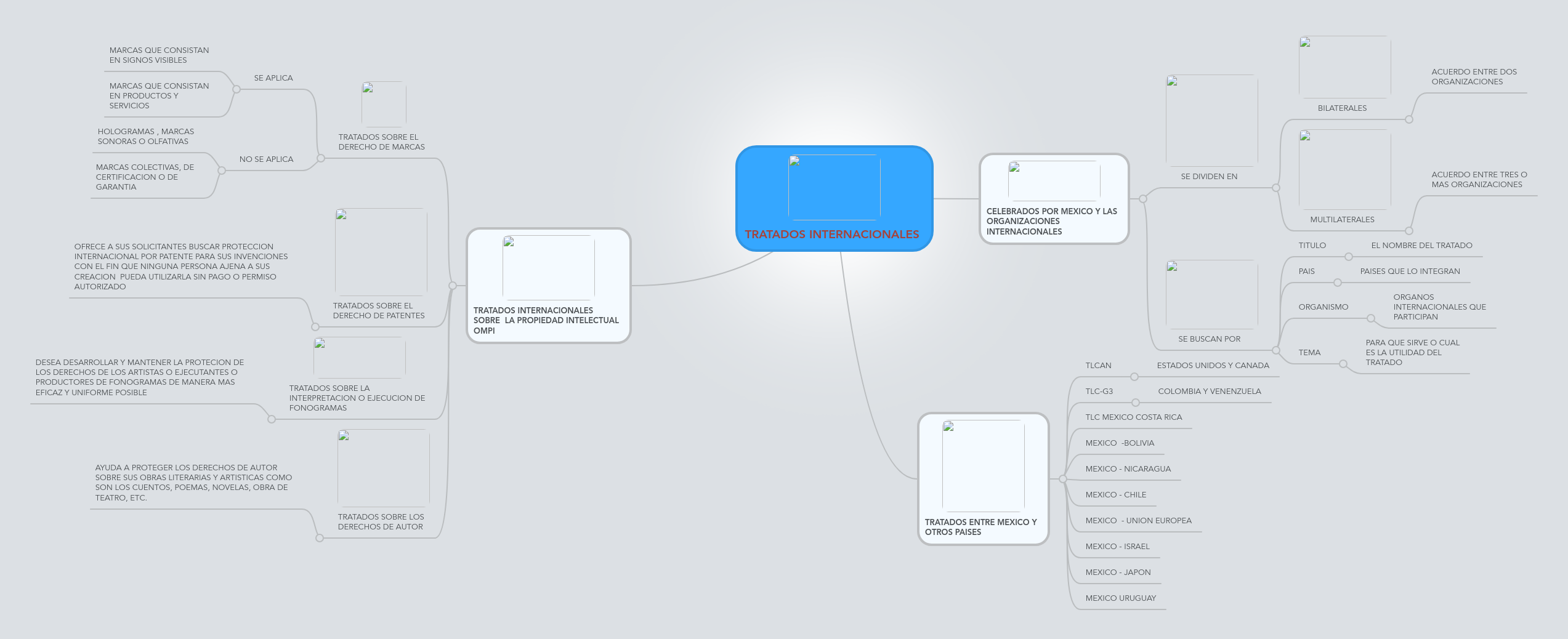 TRATADOS INTERNACIONALES | MindMeister Mapa Mental