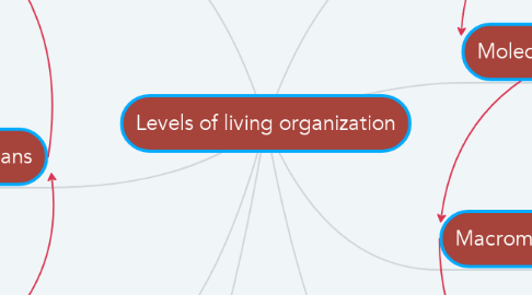 Mind Map: Levels of living organization
