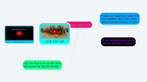 Mind Map: Home sweet comb