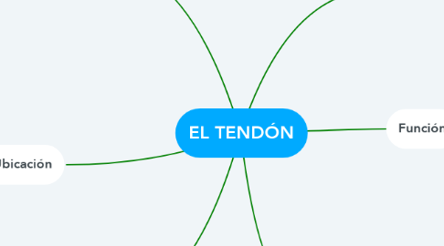Mind Map: EL TENDÓN