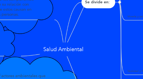 Mind Map: Salud Ambiental