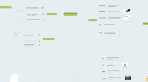 Mind Map: MAPA MENTAL SOBRE PROTOCOLOS DE RED