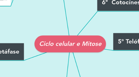 Mind Map: Ciclo celular e Mitose