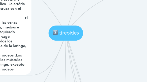 Mind Map: tireoides