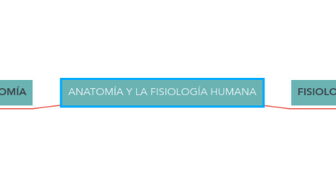 Mind Map: ANATOMÍA Y LA FISIOLOGÍA HUMANA