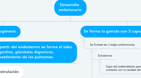 Mind Map: Desarrollo  embrionario