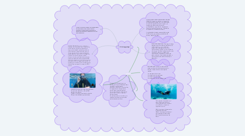 Mind Map: BUCEO