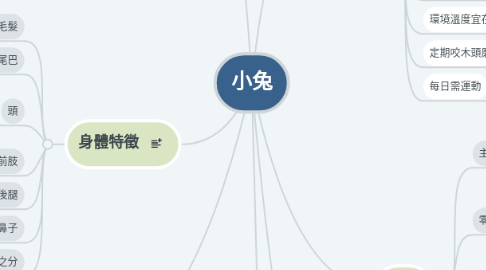 Mind Map: 小兔