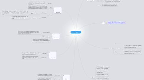 Film opening synopsis | MindMeister Mind Map
