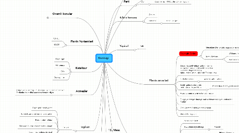 Mind Map: Gunisigi