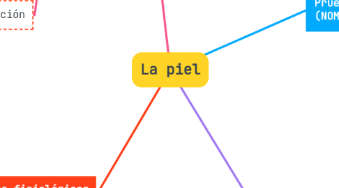 Mind Map: La piel