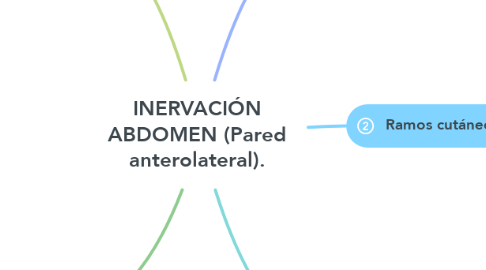 Mind Map: INERVACIÓN ABDOMEN (Pared anterolateral).