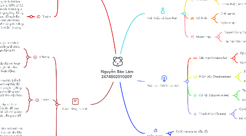 Mind Map: Nguyễn Bảo Lâm 2474802010209`