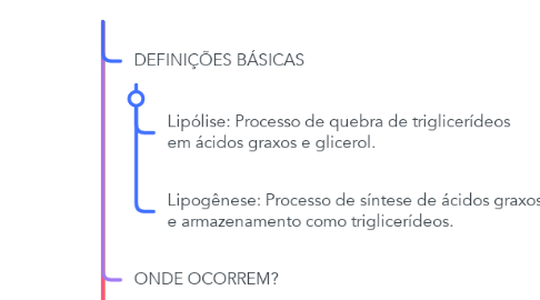 Mind Map: LIPÓLISE E LIPOGÊNESE