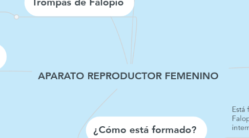 Mind Map: APARATO REPRODUCTOR FEMENINO