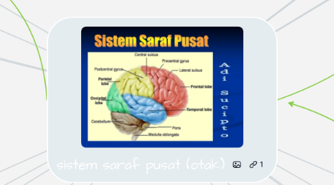 Mind Map: sistem saraf pusat (otak)