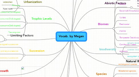 Mind Map: Vocab. by Megan