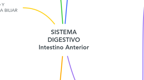 Mind Map: SISTEMA DIGESTIVO Intestino Anterior