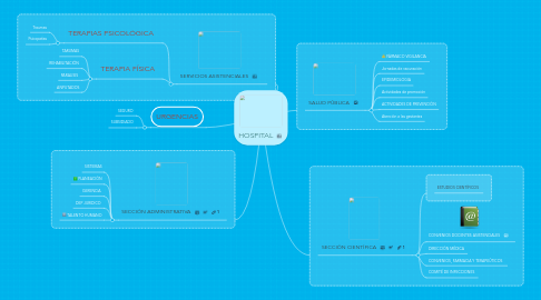 Mind Map: HOSPITAL