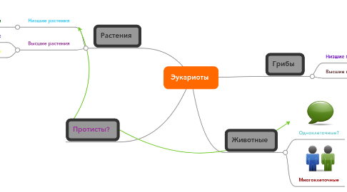 Mind Map: Эукариоты