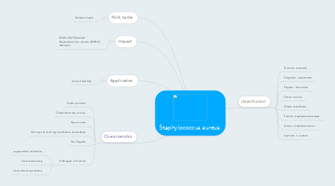 Staphylococcus Aureus | MindMeister Mind Map