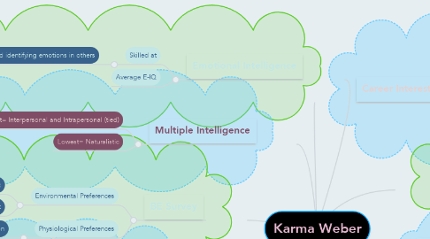 Mind Map: Karma Weber