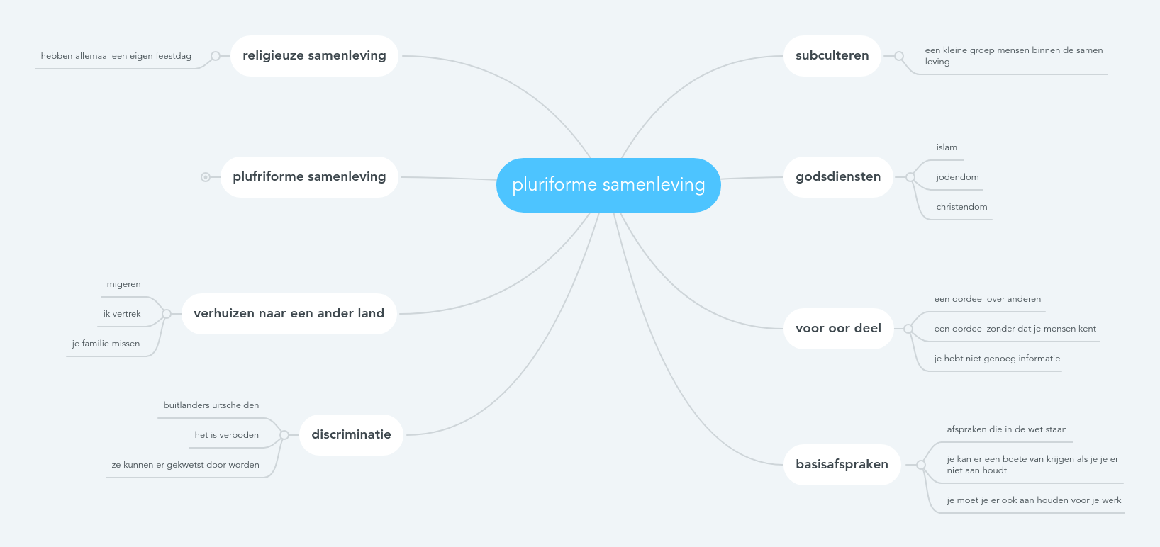 Pluriforme Samenleving | MindMeister Mind Map