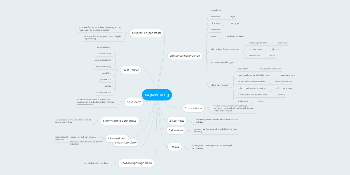 spijsvertering | MindMeister Mind Map